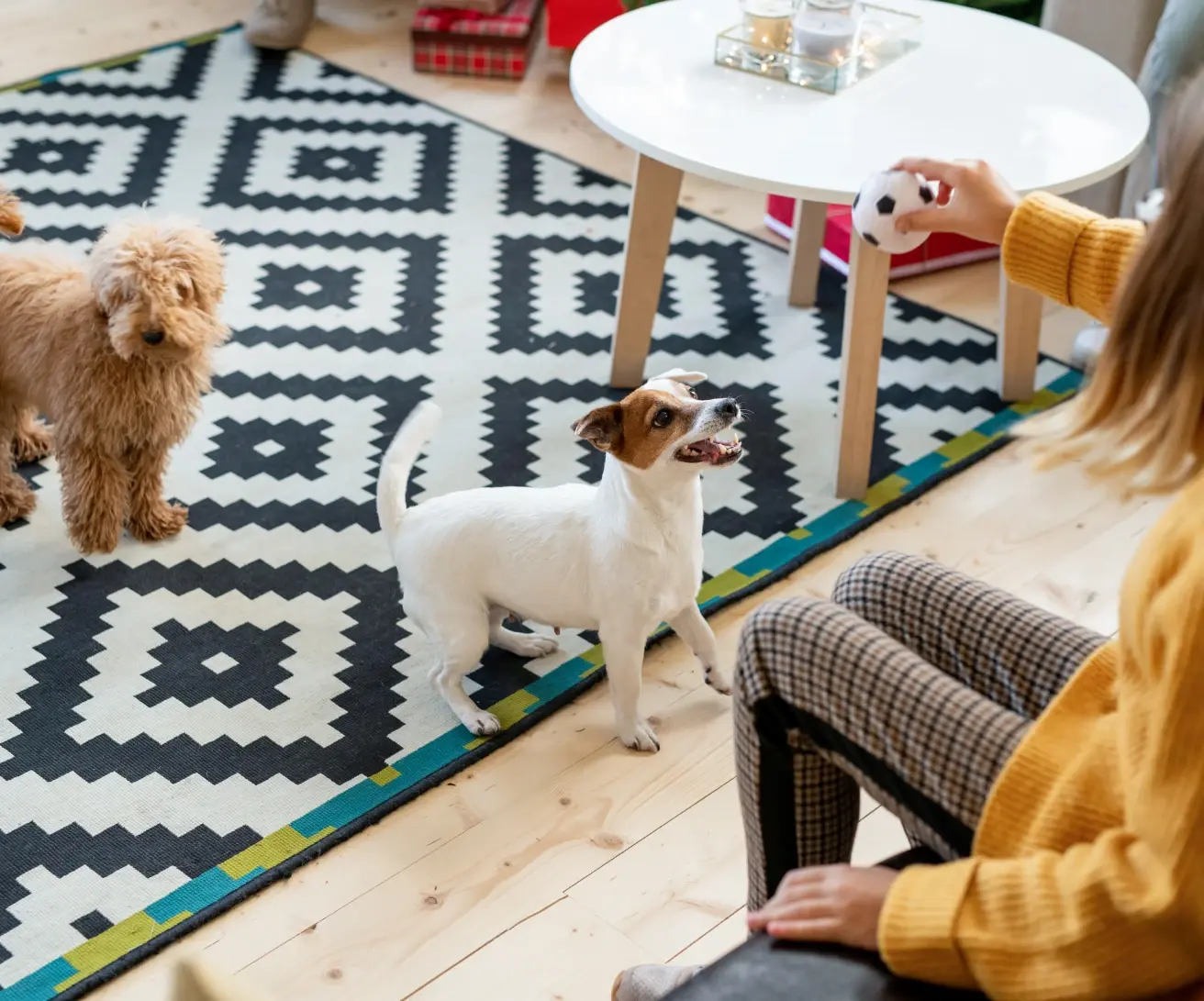 online rugs