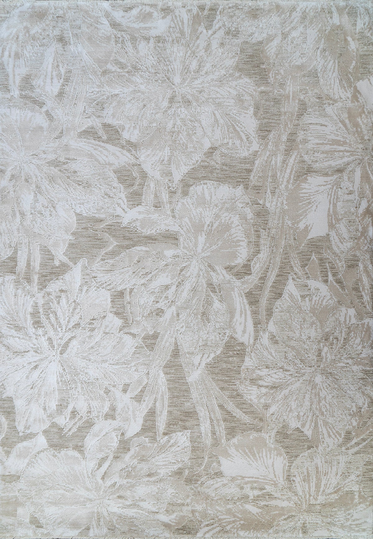 Canyon 15474 Beige/Light Beige rug